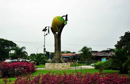cojedes-2-1320x850