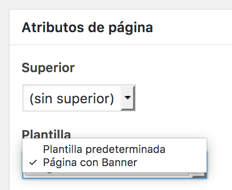 seleccion-plantilla-pagina
