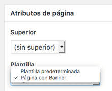 seleccion-plantilla-pagina